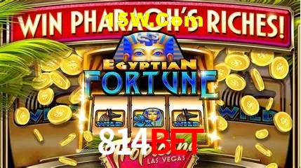 Sistemas de Segurança 814Bet